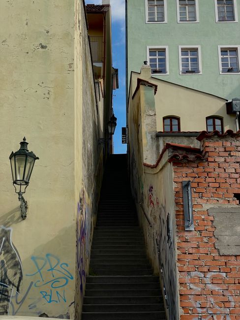 A curved outdoor staircase made of light-colored stone or concrete, with a smooth handrail on the outer side and low walls on both sides. The steps are unevenly covered with scattered leaves and small